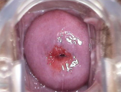 �������õ�ͼƬ