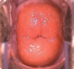 �������õ�ͼƬ