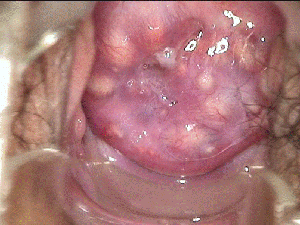 ��������ͼƬ