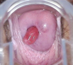 ����Ϣ��ͼƬ