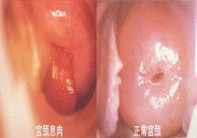 ����Ϣ��ͼƬ