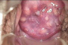 �������׵�ͼƬ