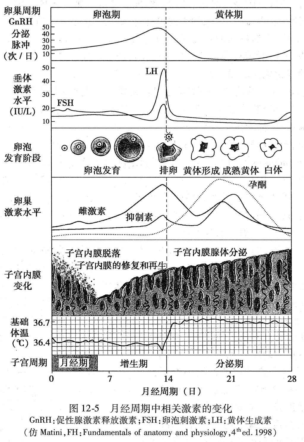 ������-����-�ѳ�����